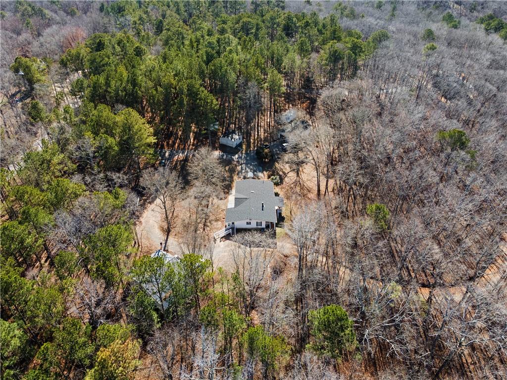 4941 N Helton Road, Winston, Georgia image 41