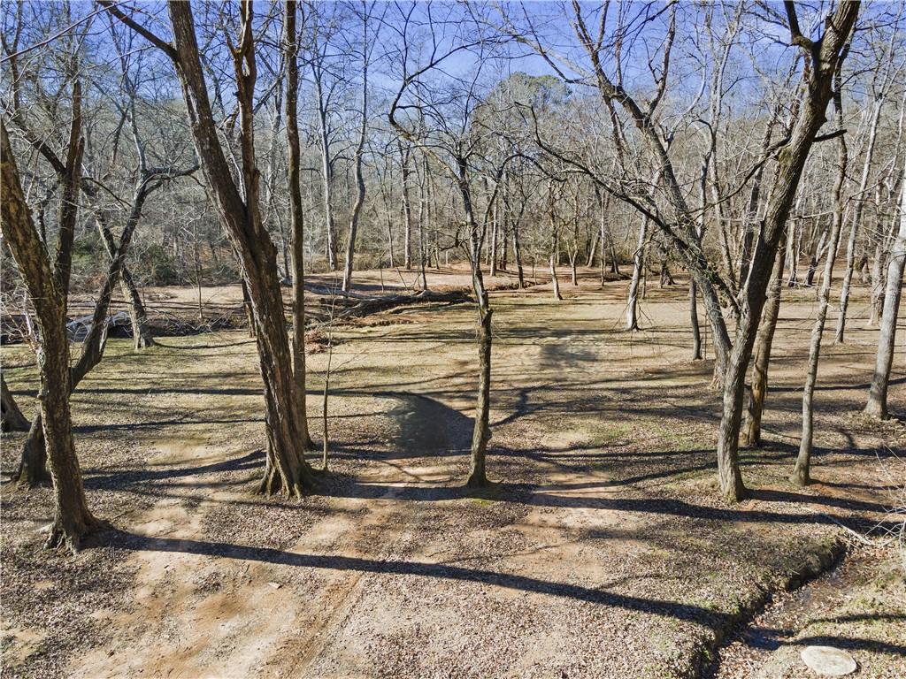 4941 N Helton Road, Winston, Georgia image 37