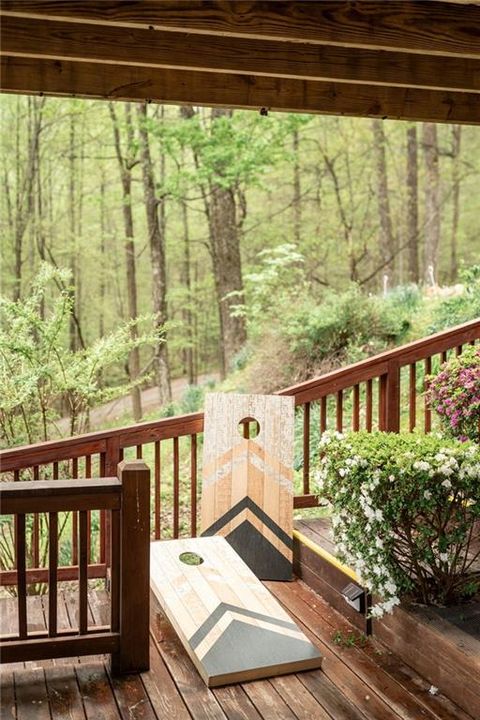 A home in Blue Ridge