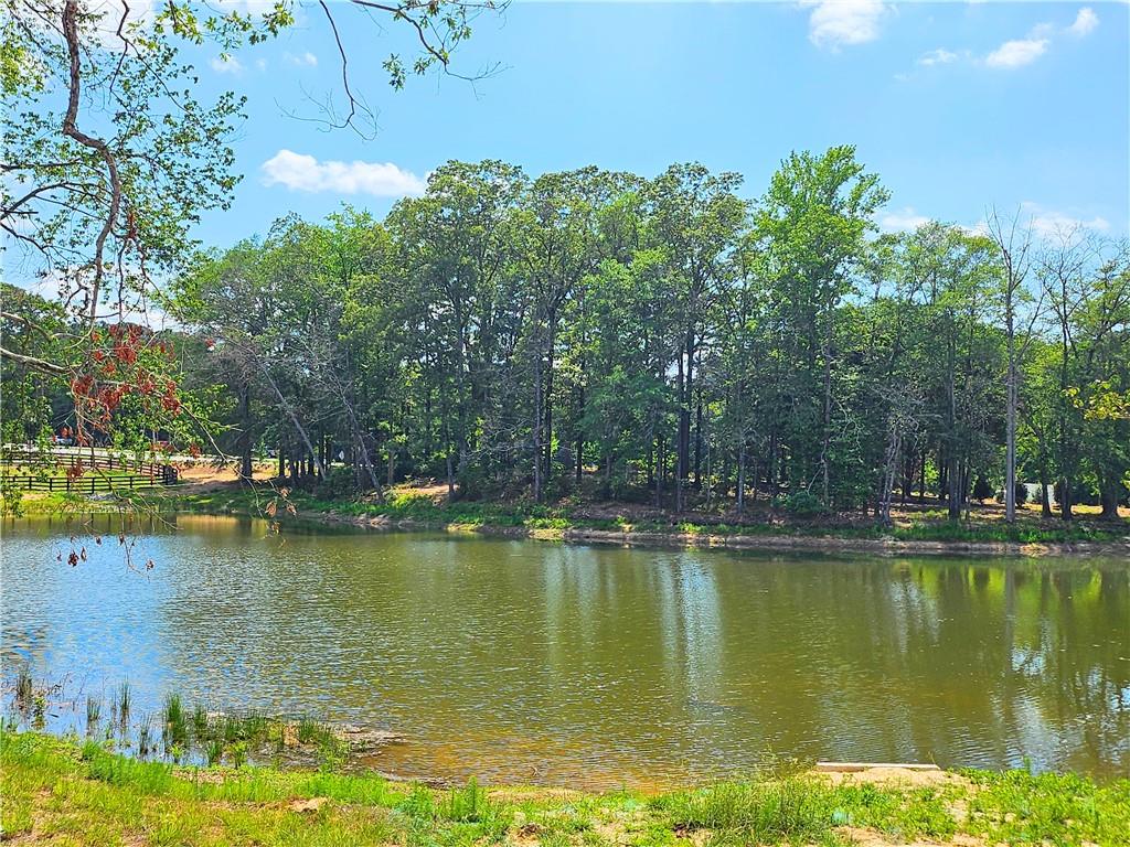 1210 Brooks Ryan Run(lot 104), Lawrenceville, Georgia image 3