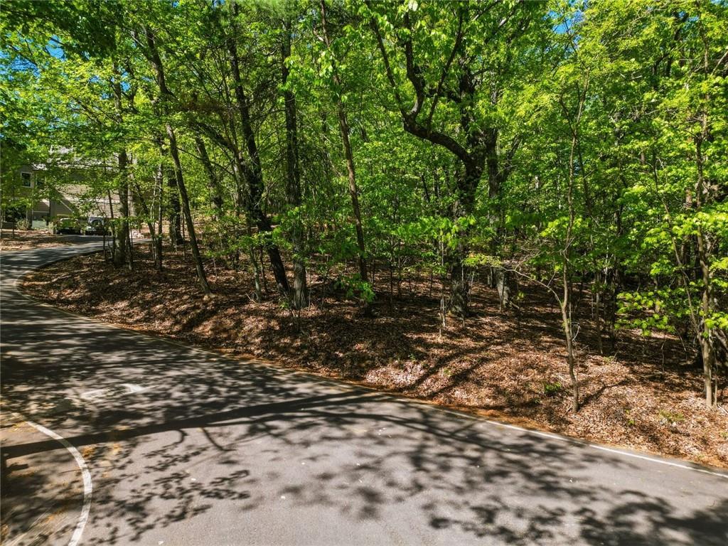 1095 McElroy Mountain Drive