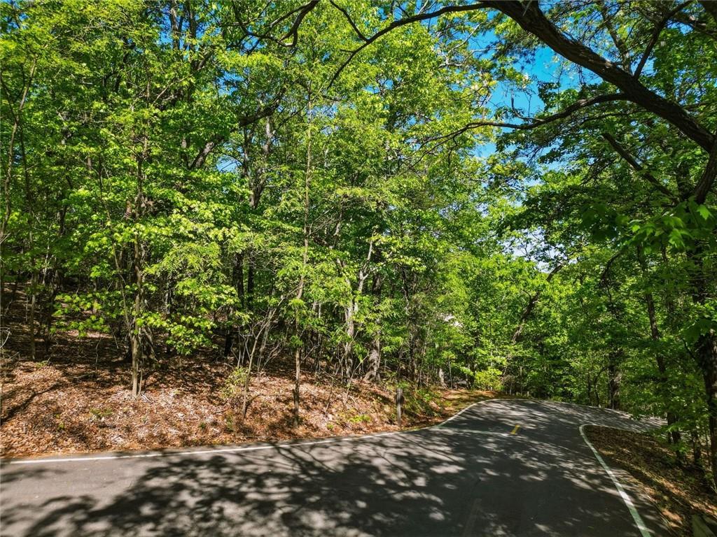 1095 McElroy Mountain Drive