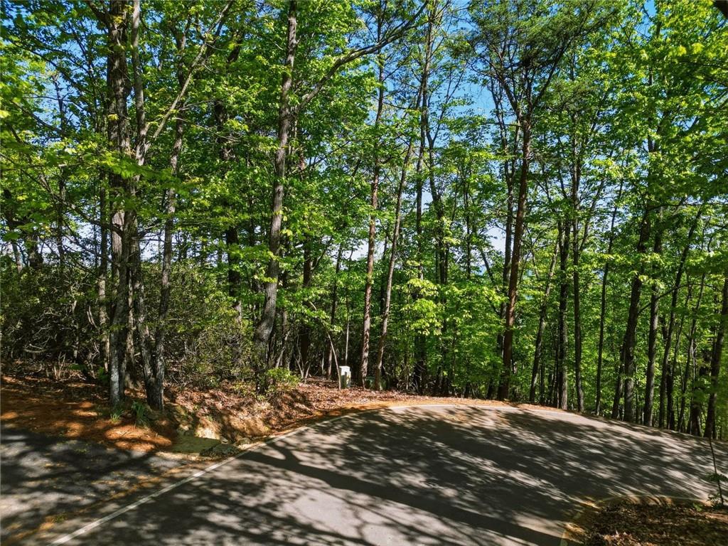 1095 McElroy Mountain Drive