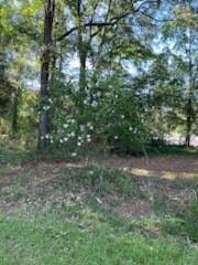 97 Abby Lane, Nicholson, Georgia image 31