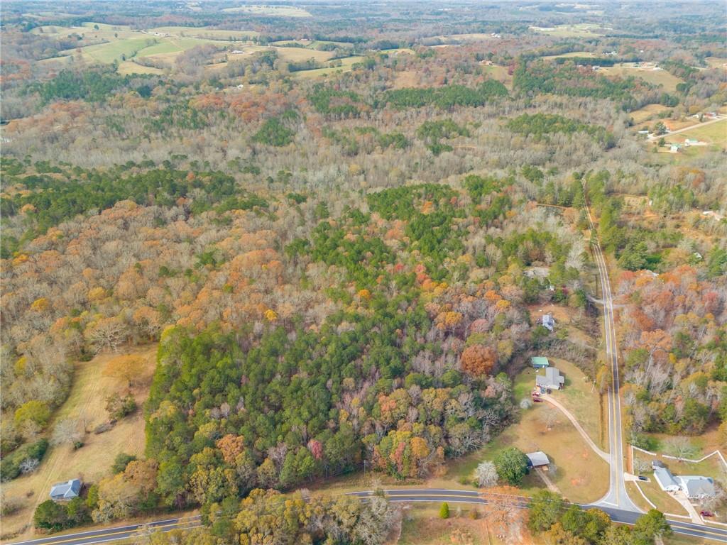 Old Columbus Road, Bowdon, Georgia image 8