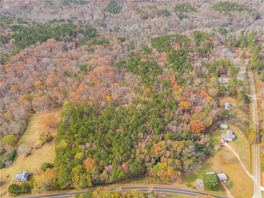 Old Columbus Road, Bowdon, Georgia image 9