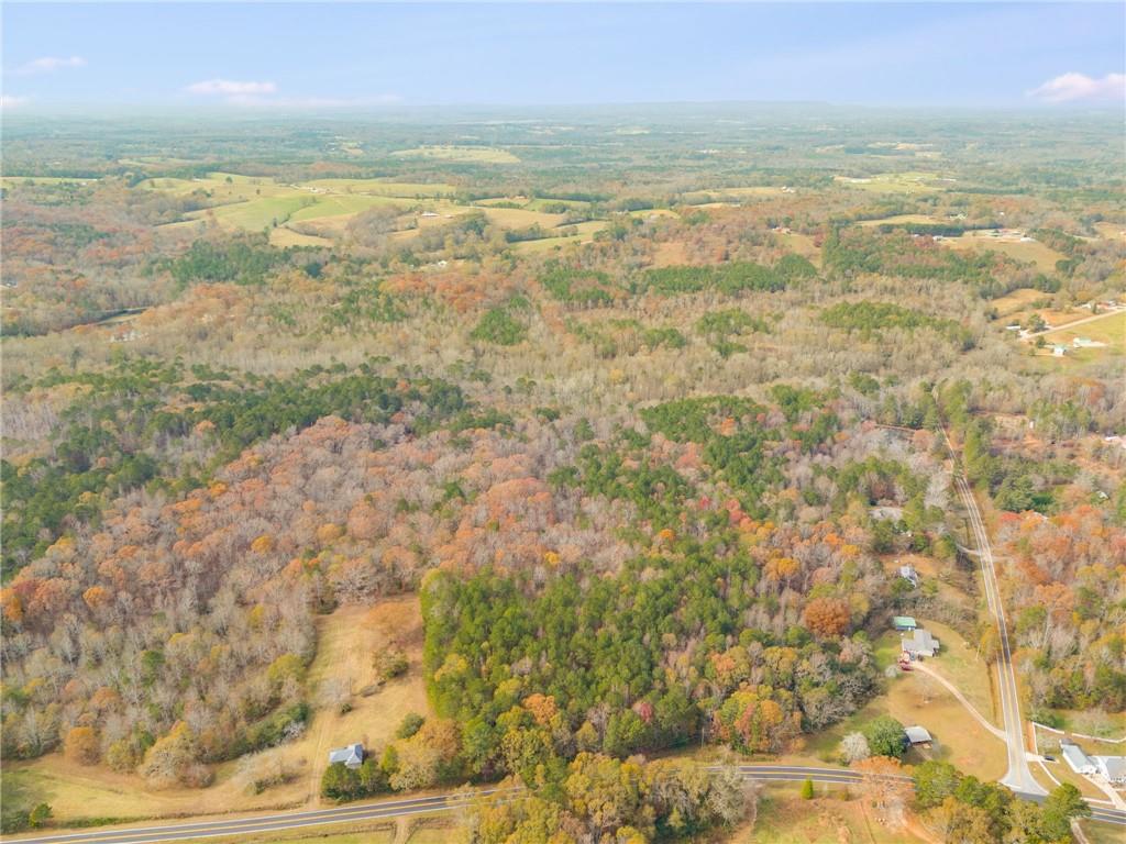 Old Columbus Road, Bowdon, Georgia image 7