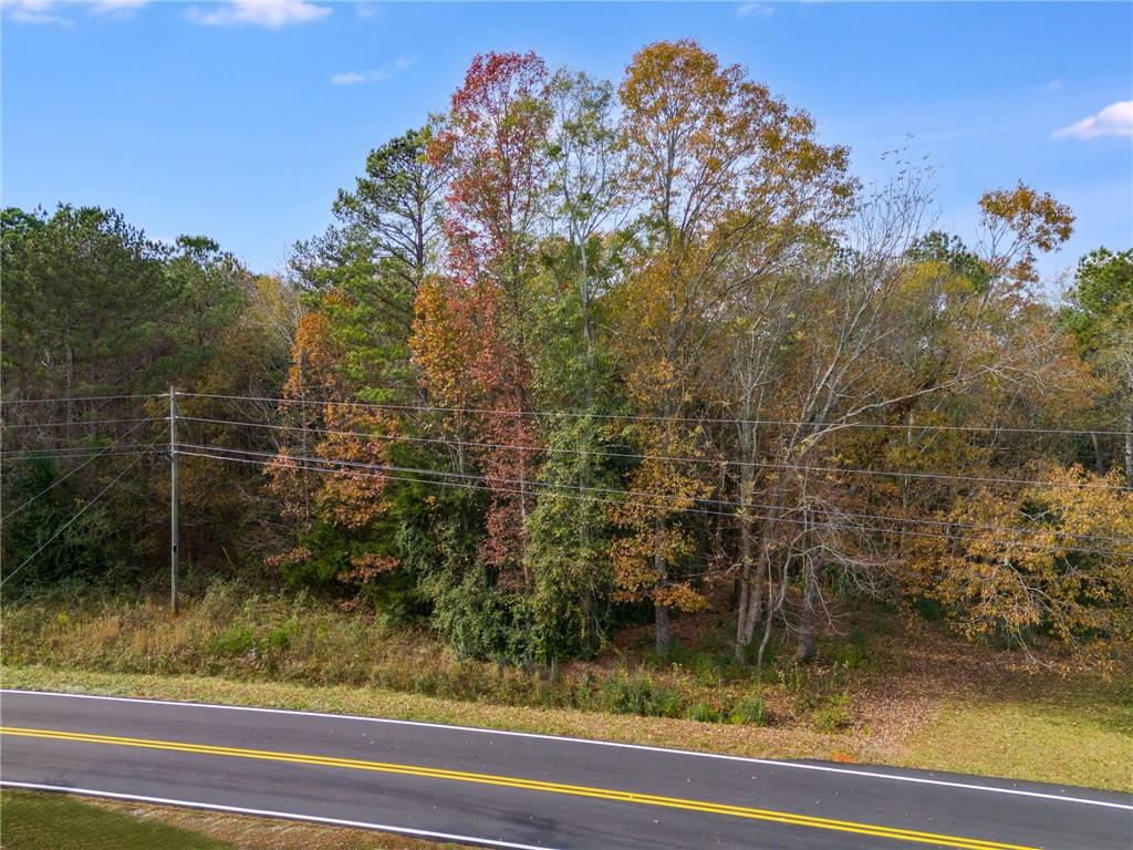 Old Columbus Road, Bowdon, Georgia image 4