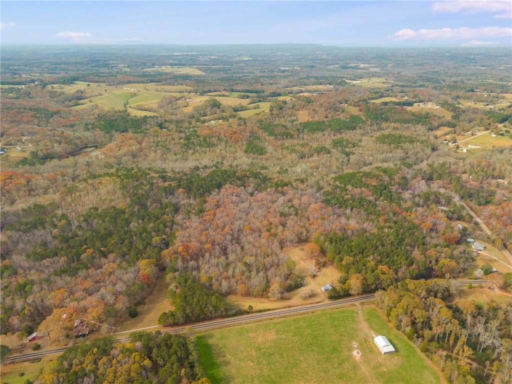 Old Columbus Road, Bowdon, Georgia image 13