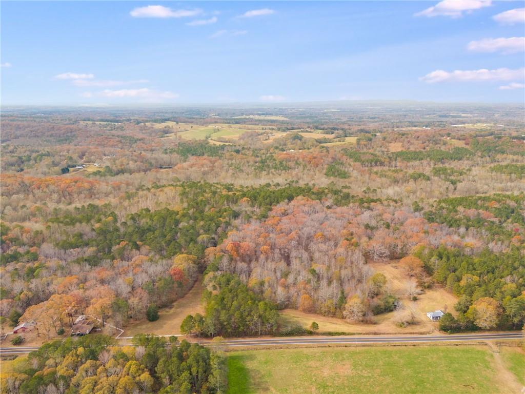 Old Columbus Road, Bowdon, Georgia image 14