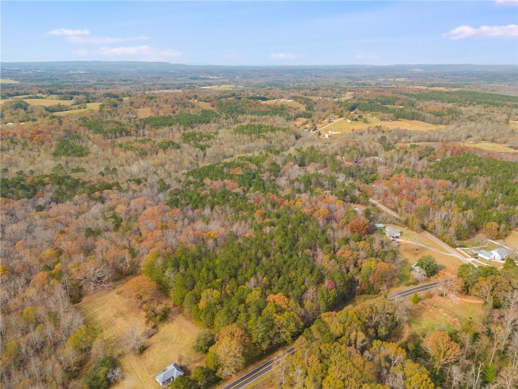 Old Columbus Road, Bowdon, Georgia image 10