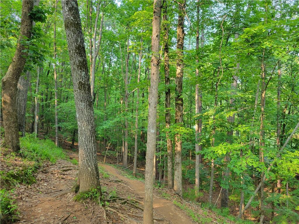 Johnson Woods - Residential Lease