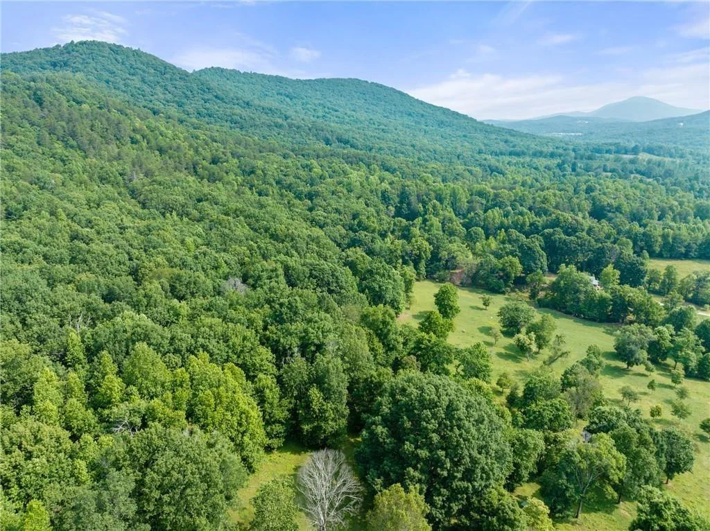 00 Freeman View Trail Rd
