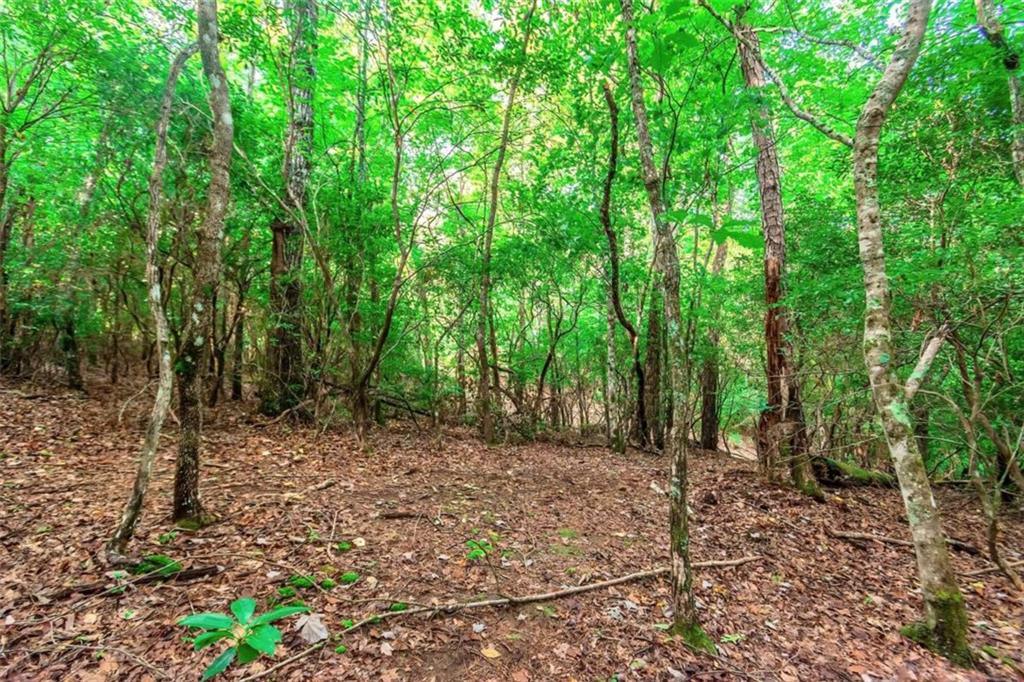 1.77 Mount Carmel Trail, Morganton, Georgia image 32