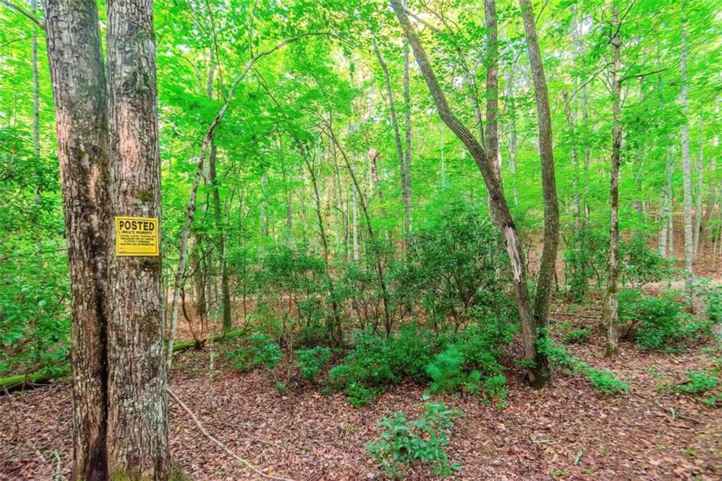 1.77 Mount Carmel Trail, Morganton, Georgia image 30