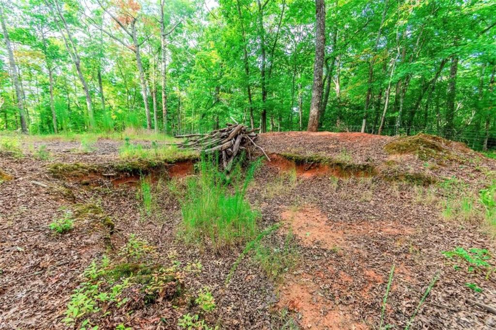 1.77 Mount Carmel Trail, Morganton, Georgia image 7