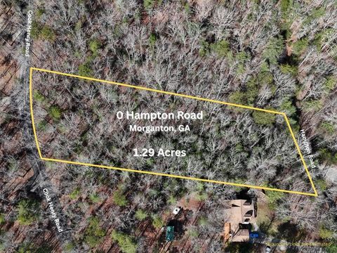Vacant Land For Sale - Hampton Road<br/> Union County, Morganton, GA 30560