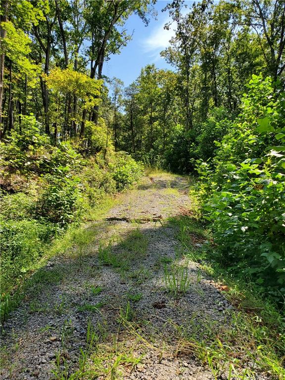0 Asbury Mill Road