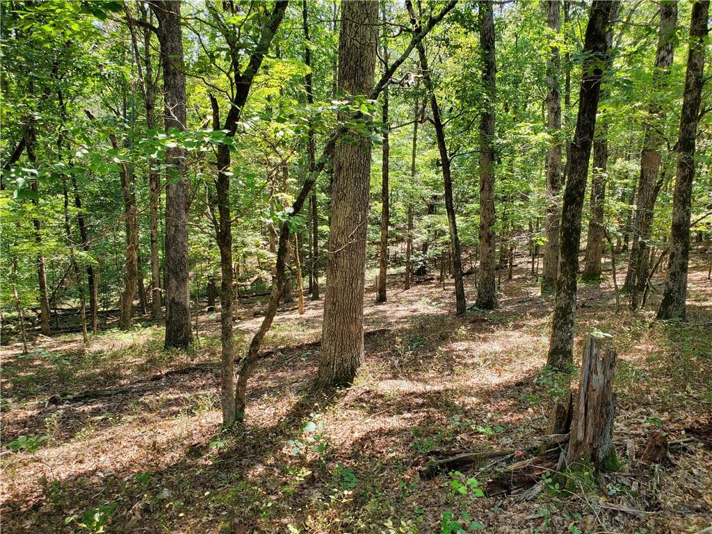 ENDLESS POSSIBILITIES AWAIT Hard to find Acreage on Asbury Mill Road. This parcel includes 13.48 acres of well appointed, tranquil, private, and usable land with a beautiful view of the mountains! This is a clean slate just waiting for you to build the home of your dreams! An area has already been cleared at the highest peak of the property for a potential homesite. Bring your vision to LIFE! Septic Tank and Building Permits have already been approved. A natural spring on the property forms a small branch that runs through it. It is conveniently located near schools, restaurants, shopping and Helen. Don't pass up this opportunity to own this rare find. Although it's steep, the driveway has already been roughed in and gravel put down. A recent survey has already been completed. Convenient to Cleveland, Dahlonega, and GA 400. Property sold as is, no disclosure. Purchaser responsible for verification of information. There is a driveway easement to access this property. Please notify agent with a courtesy text for all visits. You can locate the property by using the address for the adjacent property at 1491 Asbury Mill Rd.....turn into this driveway and park at the red gate to the left side. Please navigate the steep slope by foot and DO NOT drive (proper footwear recommended).