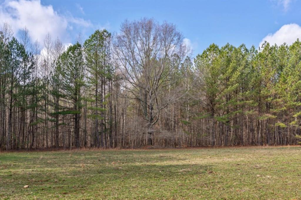 Double Bridges Road, Madison, Georgia image 1