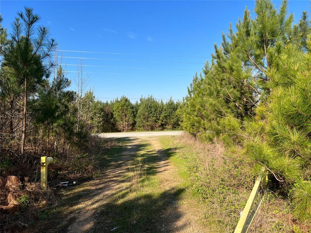 Monroe Mill Road, Buchanan, Georgia image 2