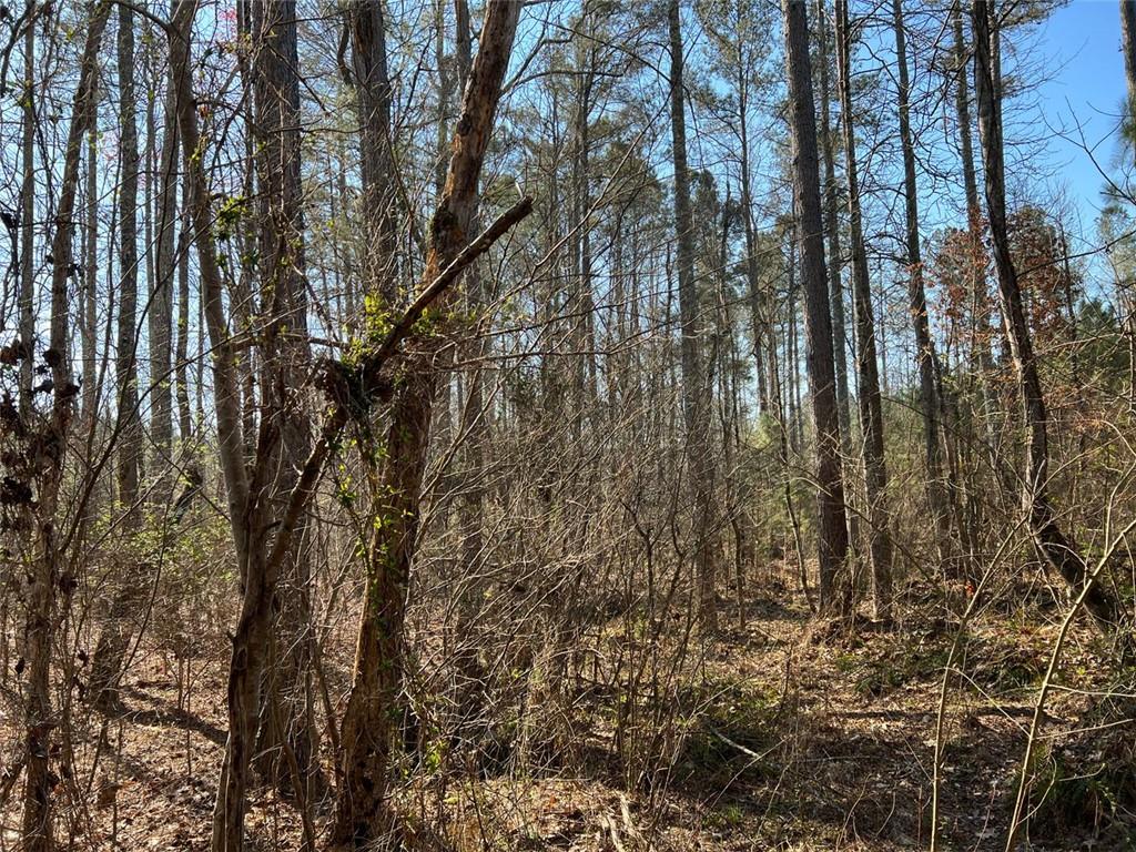 Monroe Mill Road, Buchanan, Georgia image 9