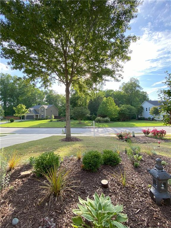 3455 Buffington Lane