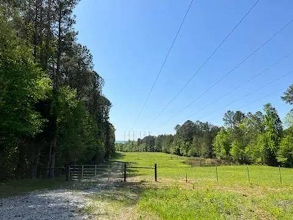 Photo of 229 E Turnipseed Road, Rock Spring, GA 30739 (MLS # 7729046)