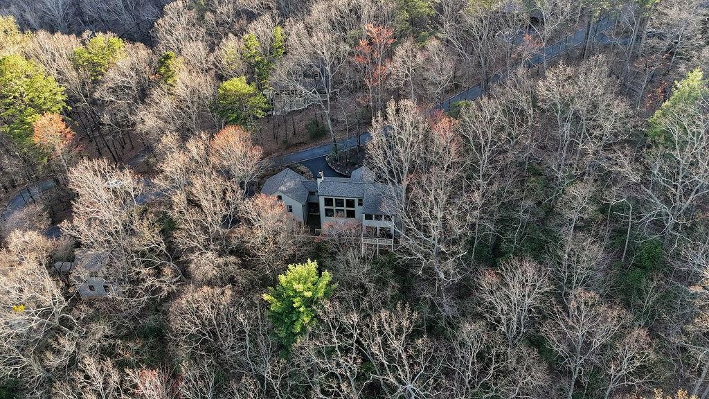 203 Wild Azalea Circle, Big Canoe, Georgia image 44