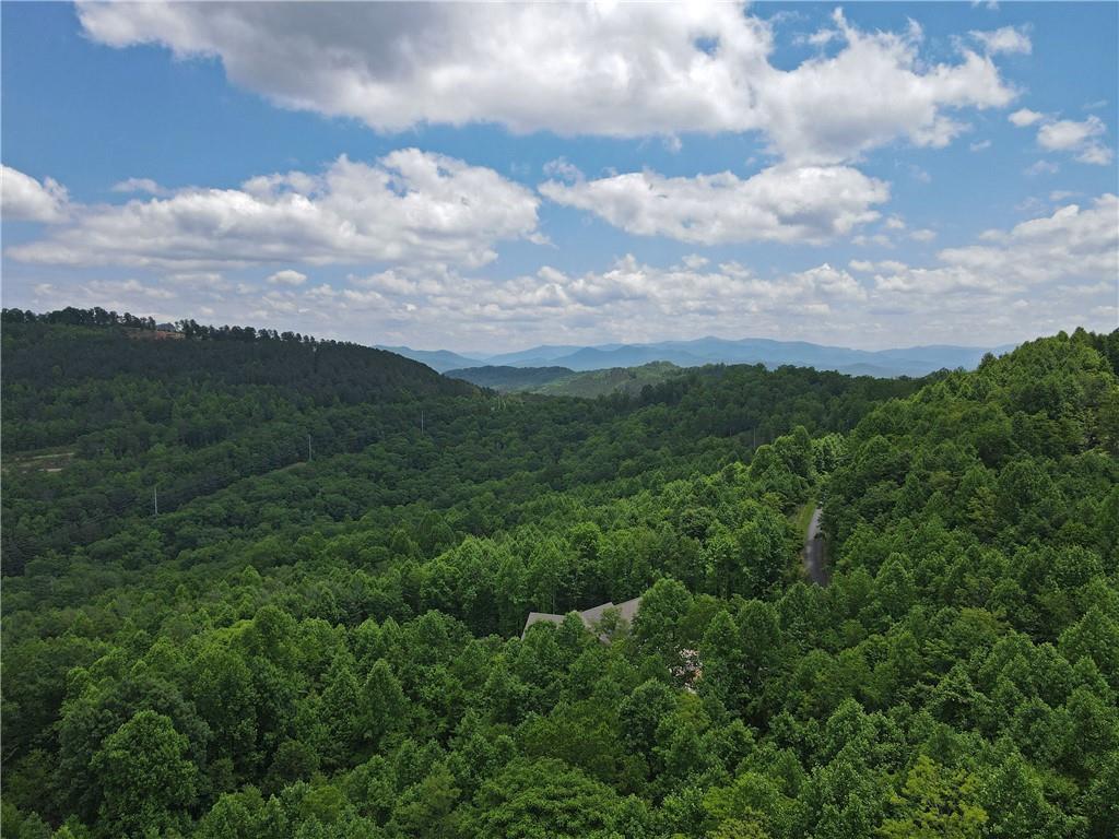 1 Summit Trace, Blairsville, Georgia image 1