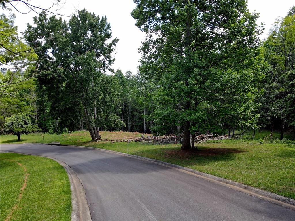 1 Summit Trace, Blairsville, Georgia image 9