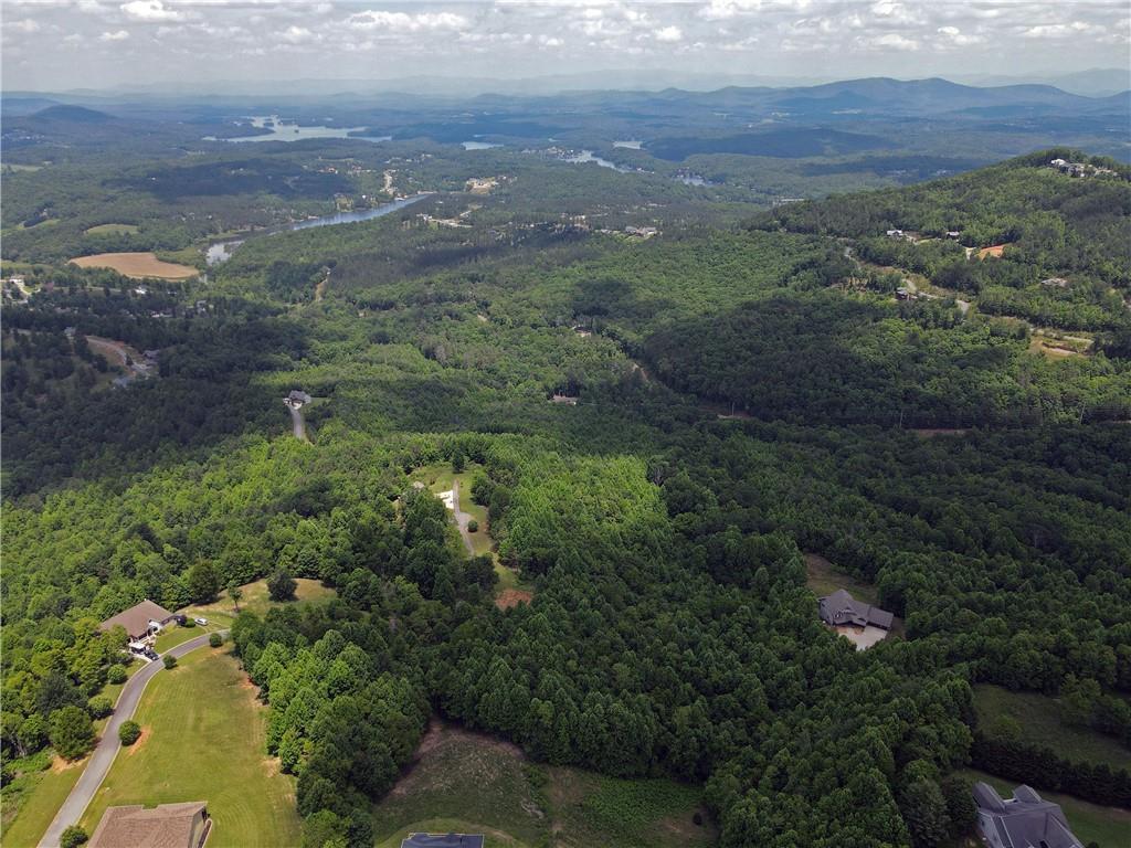 1 Summit Trace, Blairsville, Georgia image 28