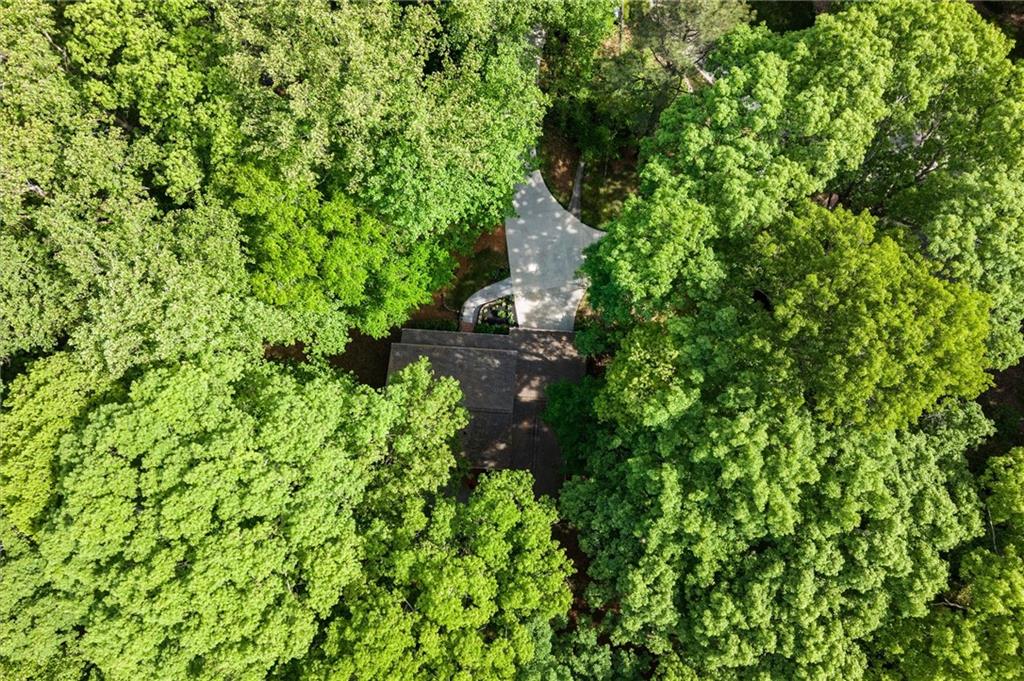 3025 Mountain Creek Court NE