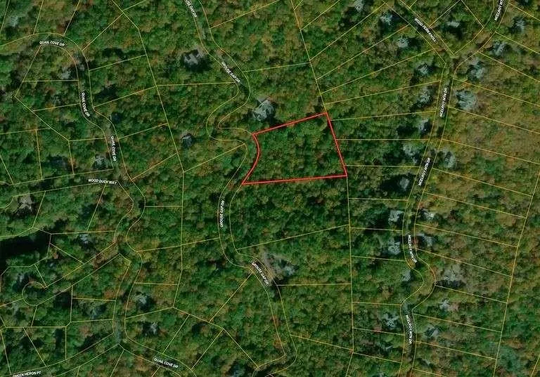 Jasper, Georgia 30143, United States, ,Land,Pending,69121