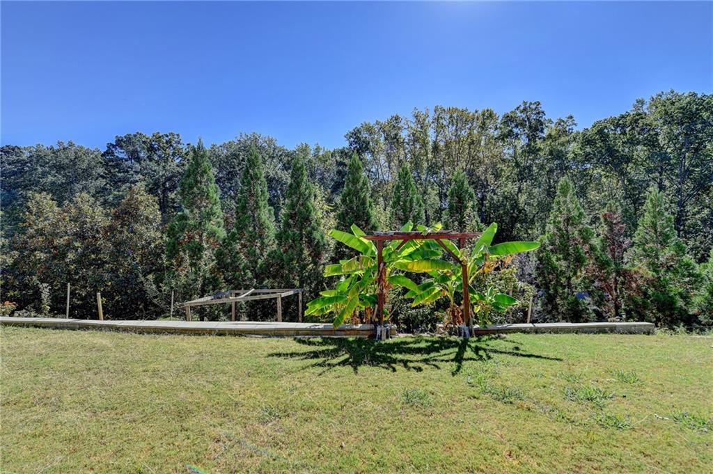 The Grove at Spring Valley - Residential
