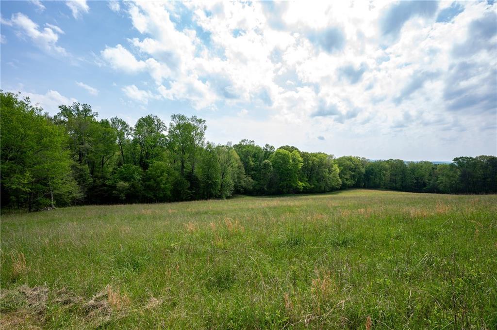 Bicentennial Trail, Rock Spring, Georgia image 22