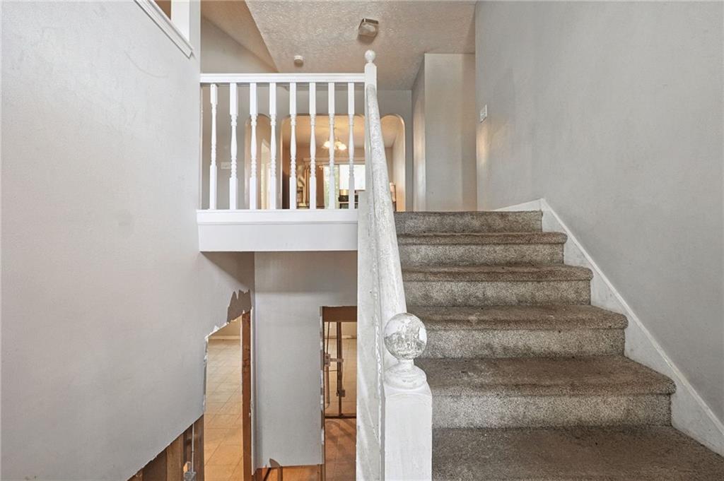 1005 Wolf Springs Cove