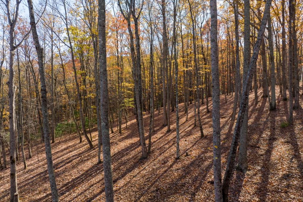 Lt 17R Tanager Trail, Ellijay, Georgia image 8