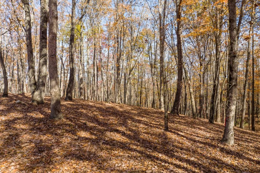 Lt 17R Tanager Trail, Ellijay, Georgia image 2