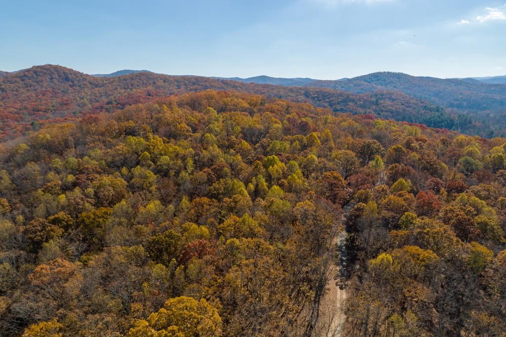 Lt 17R Tanager Trail, Ellijay, Georgia image 21