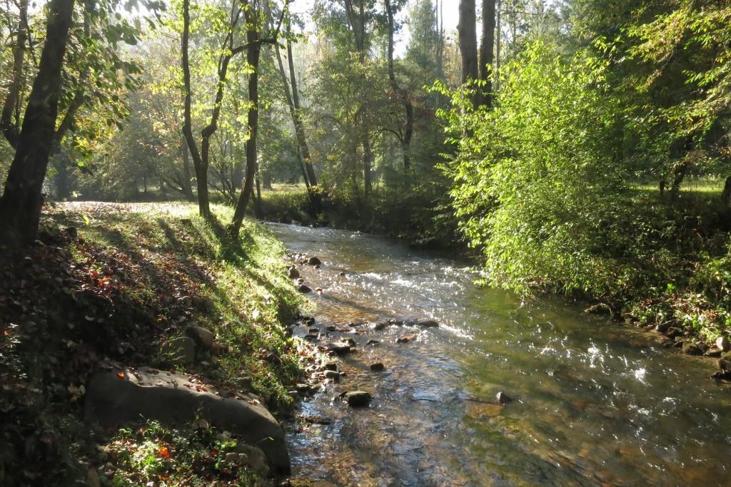 Lt 17R Tanager Trail, Ellijay, Georgia image 34