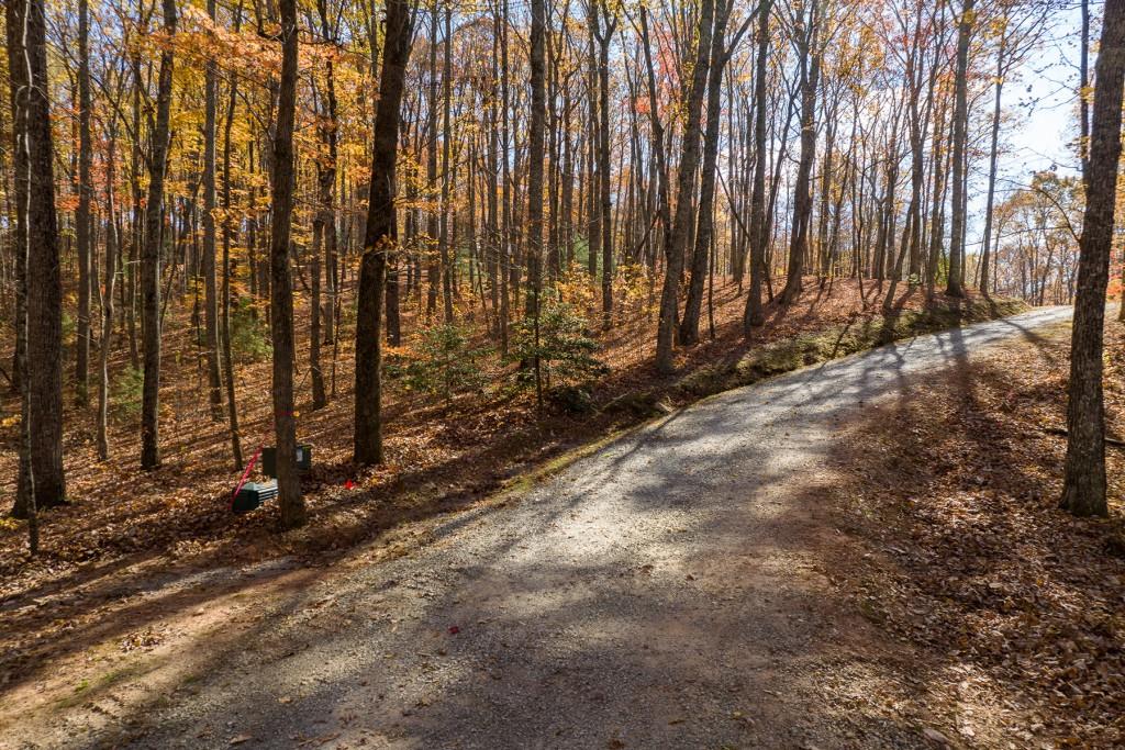 Lt 17R Tanager Trail, Ellijay, Georgia image 22