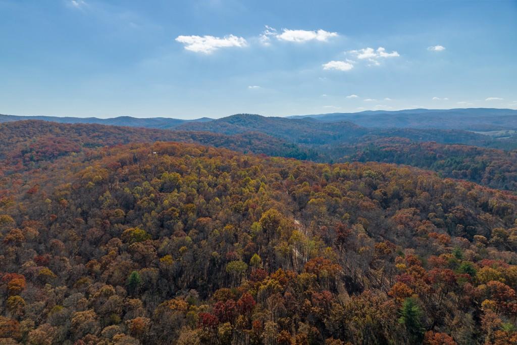 Lt 17R Tanager Trail, Ellijay, Georgia image 14