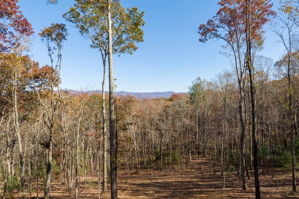 Lt 17R Tanager Trail, Ellijay, Georgia image 9