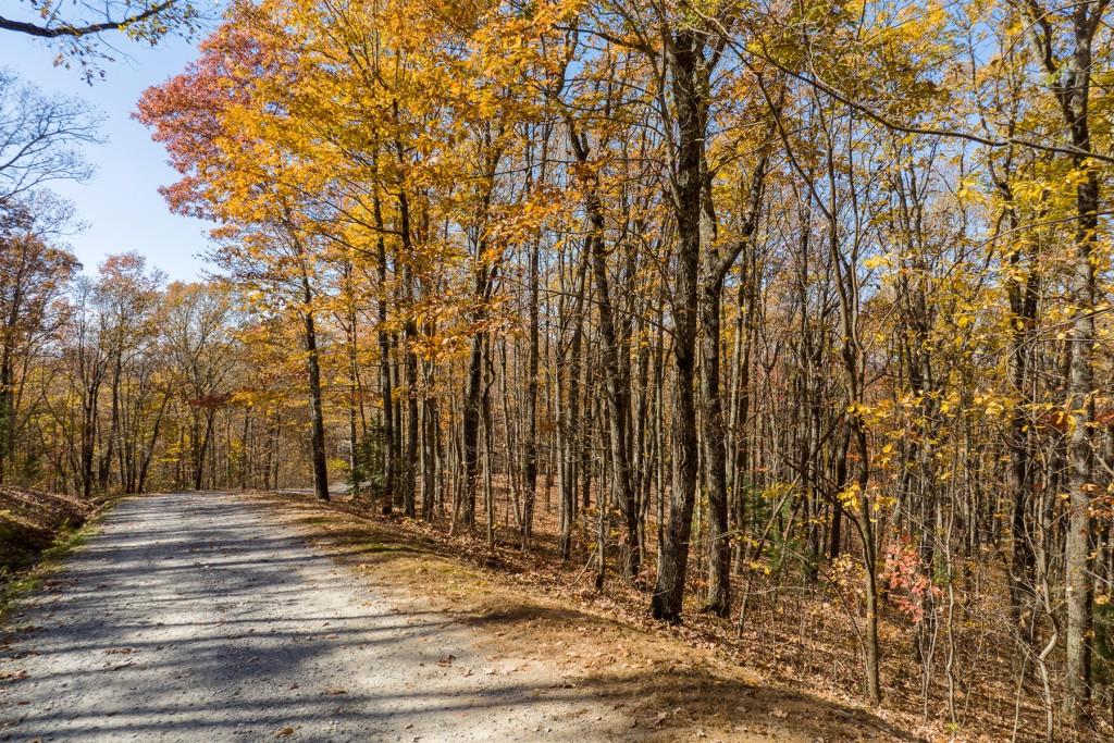 Lt 17R Tanager Trail, Ellijay, Georgia image 25