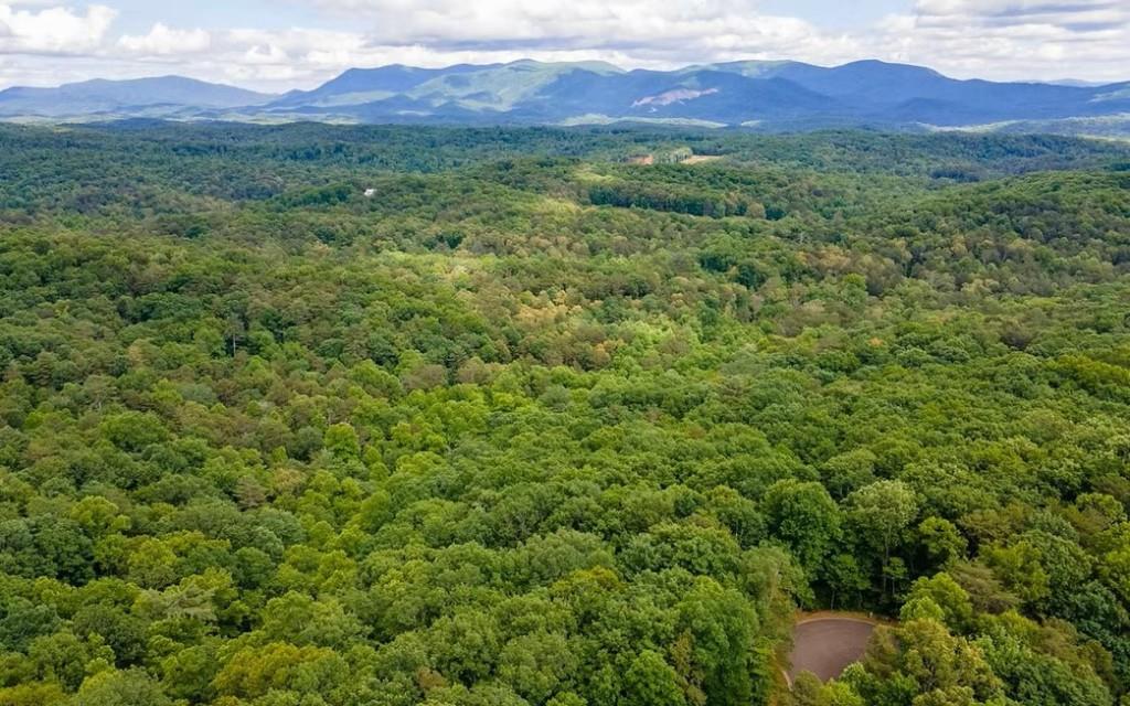 0 Abbott Mill Road