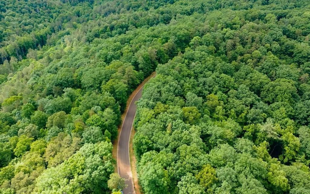 0 Abbott Mill Road