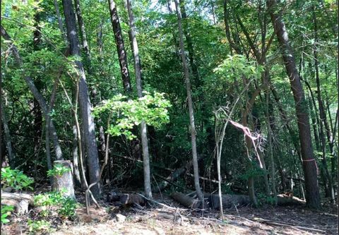 Vacant Land For Sale - 0.68 Valley View<br/> Ellijay, GA 30536
