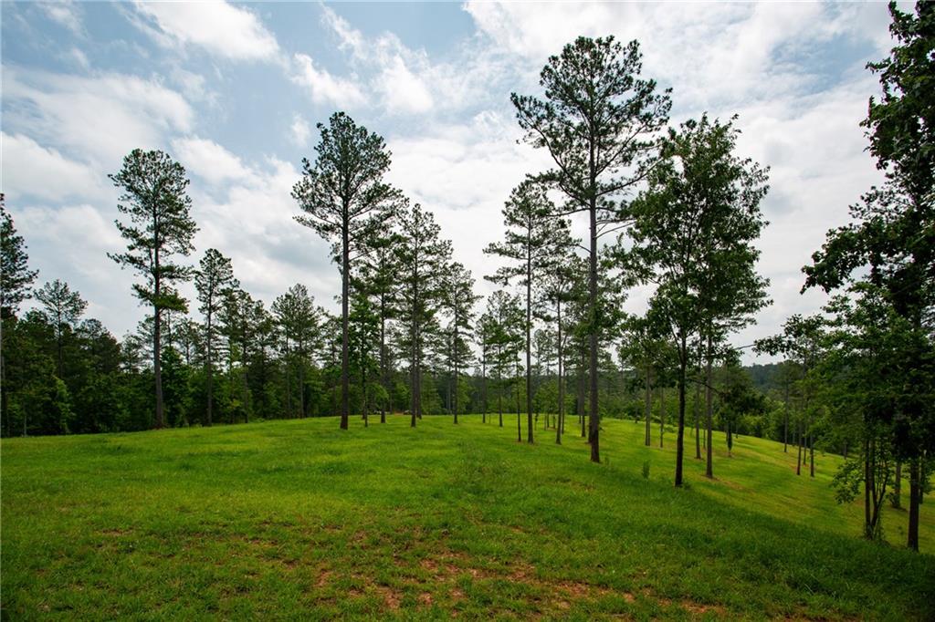6480 Highway 52, Dahlonega, Georgia image 11
