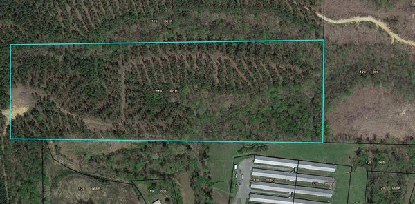 1816 FIRE TOWER RD SE, FAIRMOUNT, GA 30139 - Image 882b7a088ab8a625f4de18d2b73ee42a/640459818
